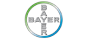 Logo IV