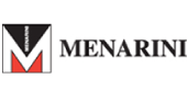 Logo V